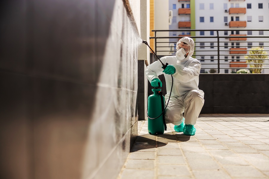 Hawx Pest Control Reviews: Why Clients Keep Coming Back